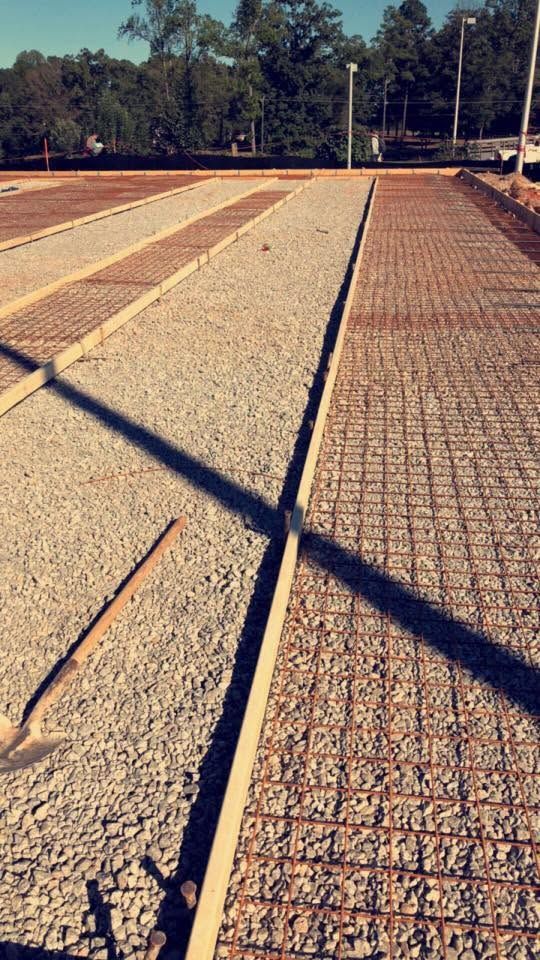 Textured concrete walkway with long shadows in a sunny outdoor park, lined by trees and light poles