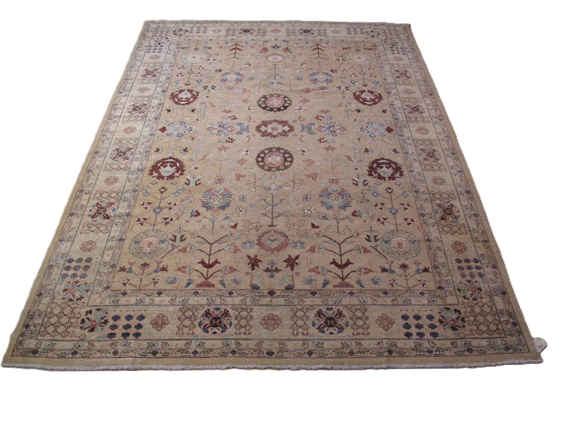 Pakistan | A33523 | 9'8