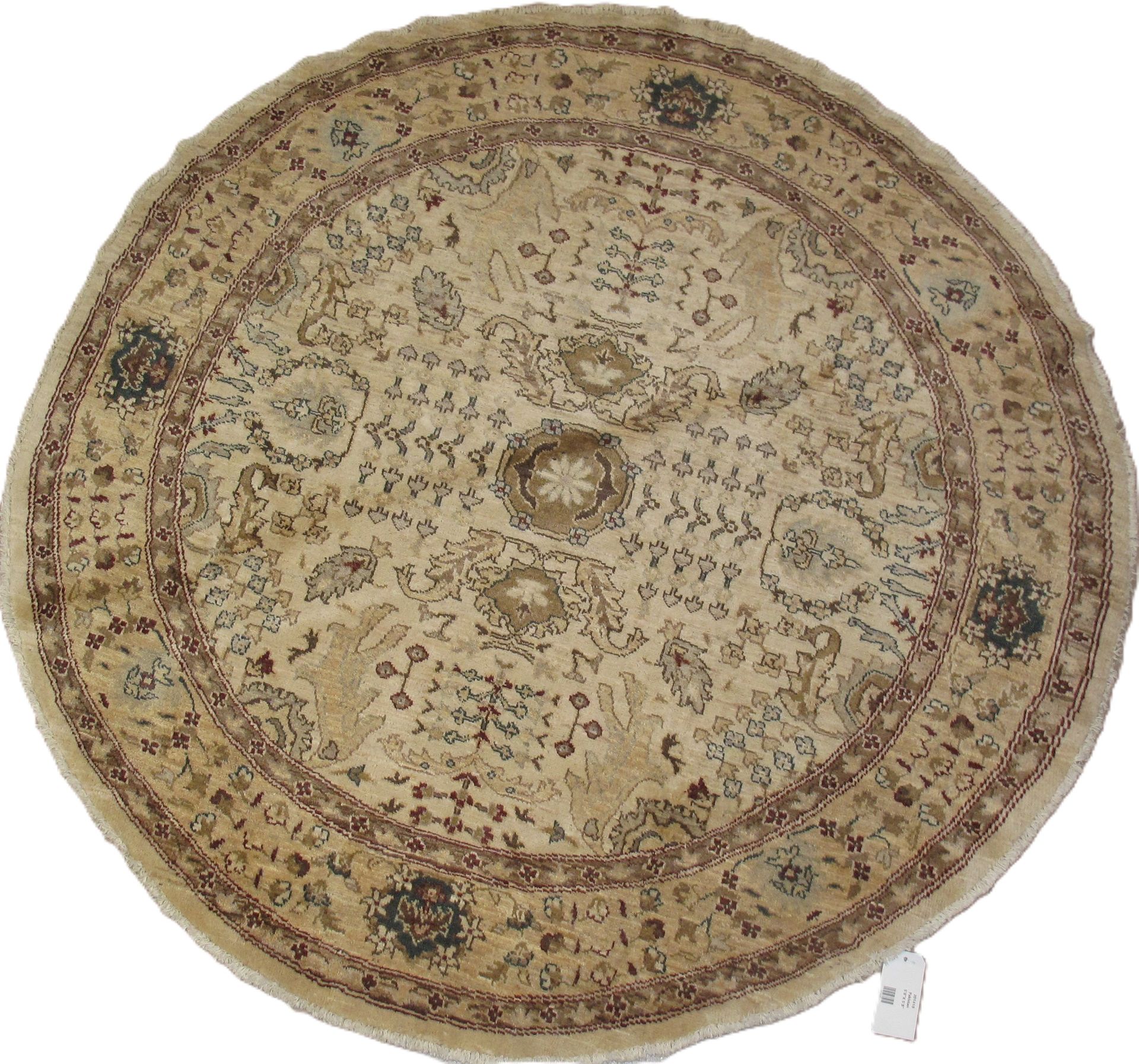 Pakistan | 101410 | 5'8