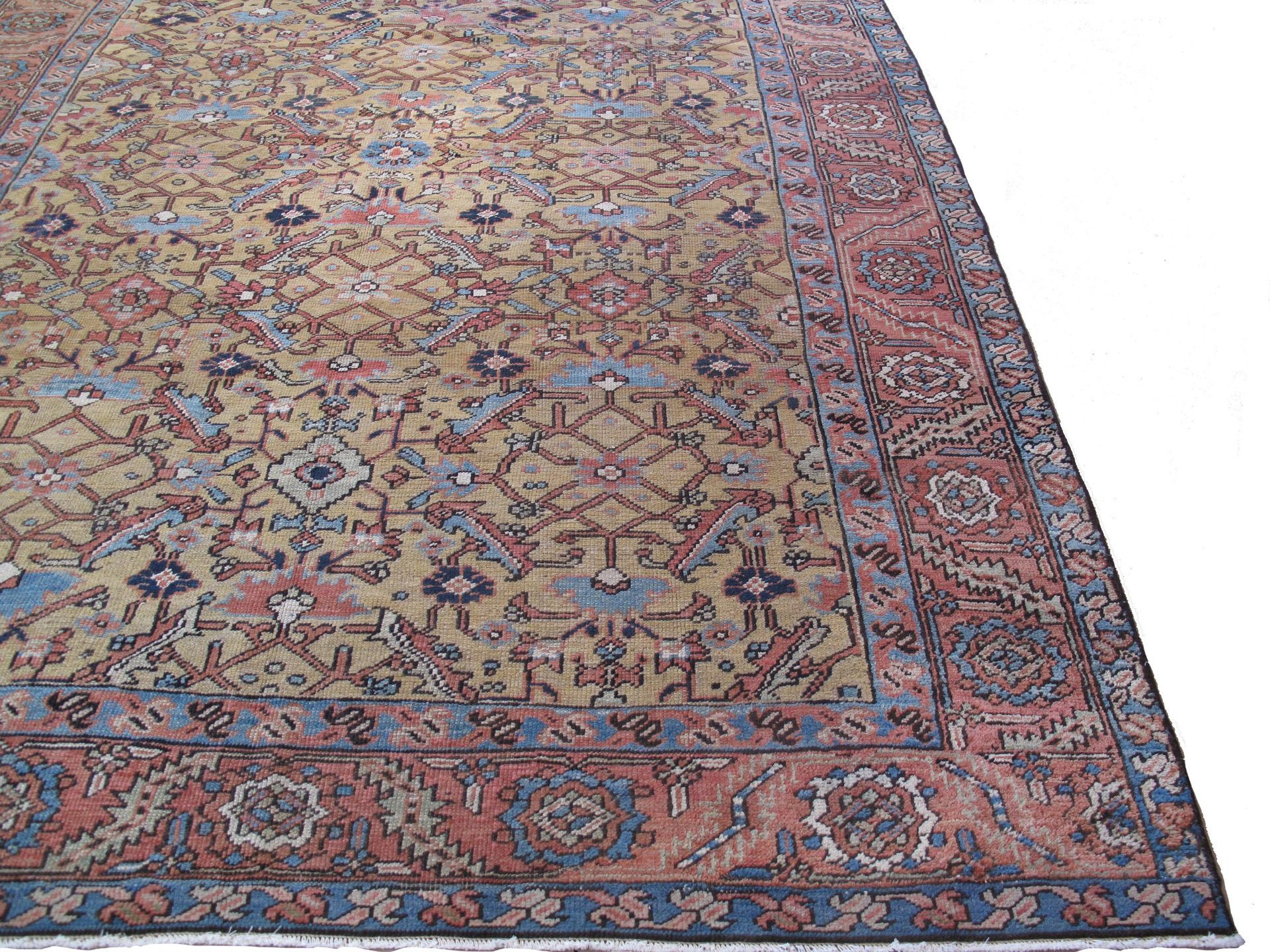 A large rug with a floral pattern on it is on a white background.