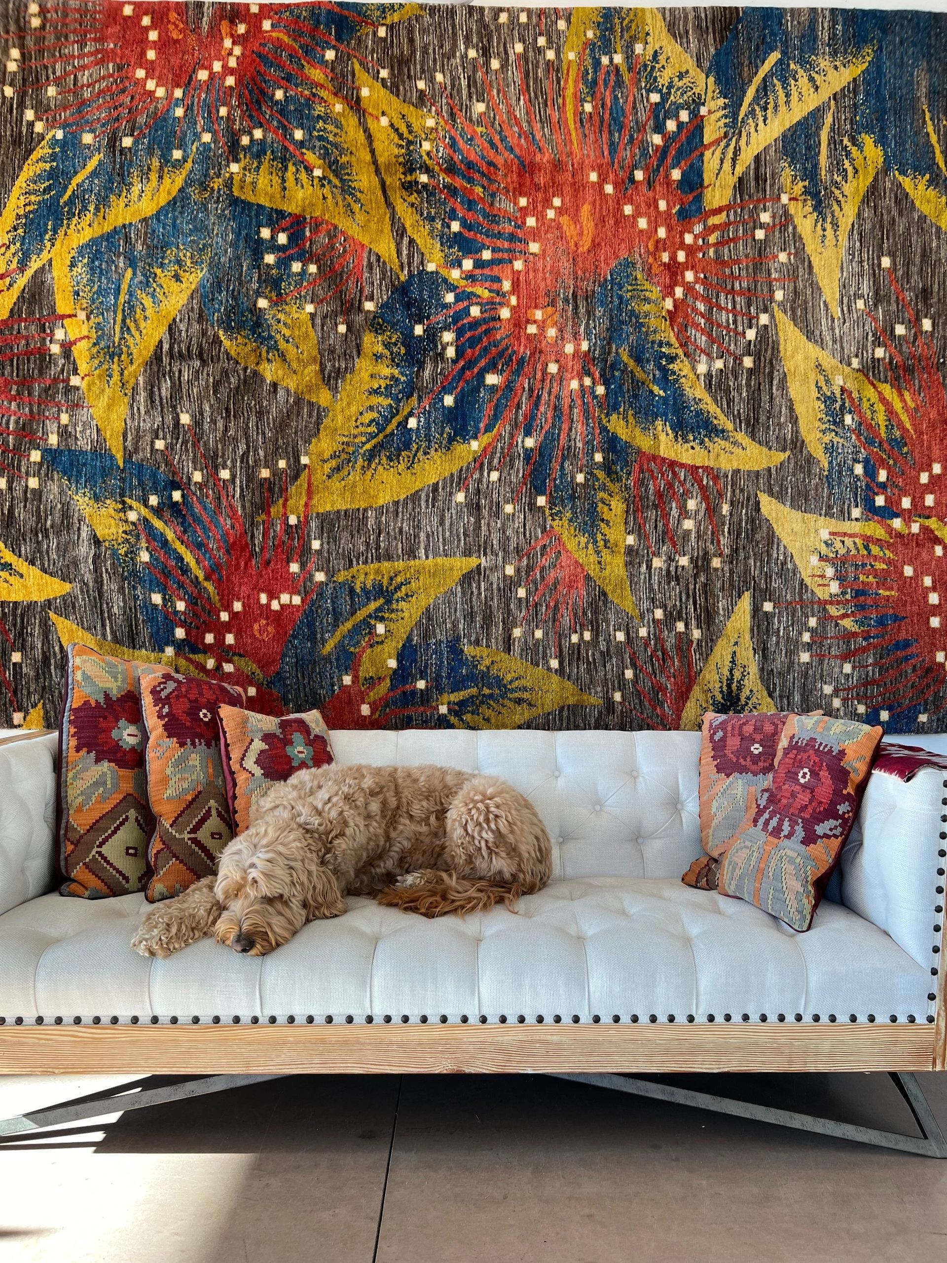 A dog is laying on a couch in front of a colorful wall.