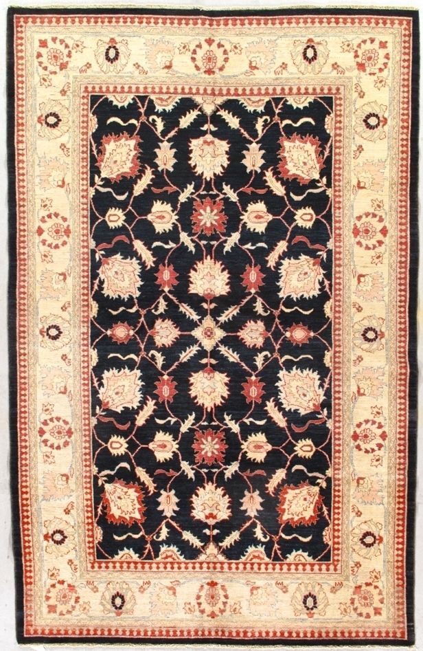 Pakistan | AD19 | 6'5