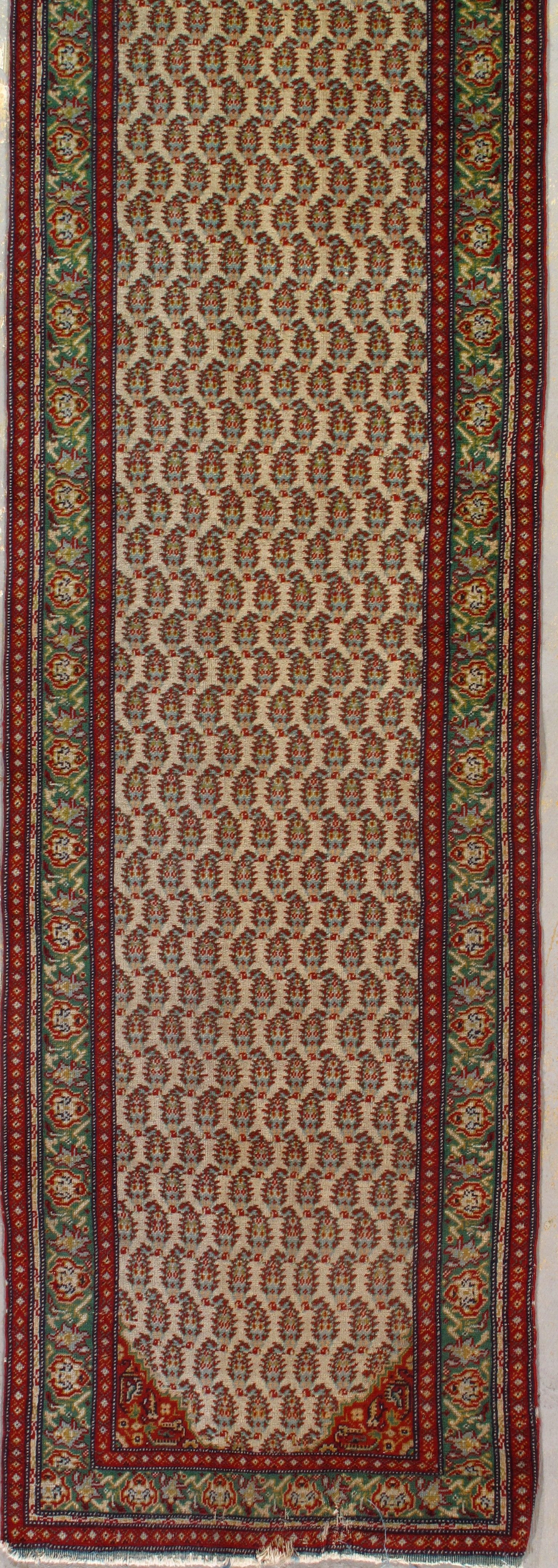 Antique Seraband | 261 | 2'5