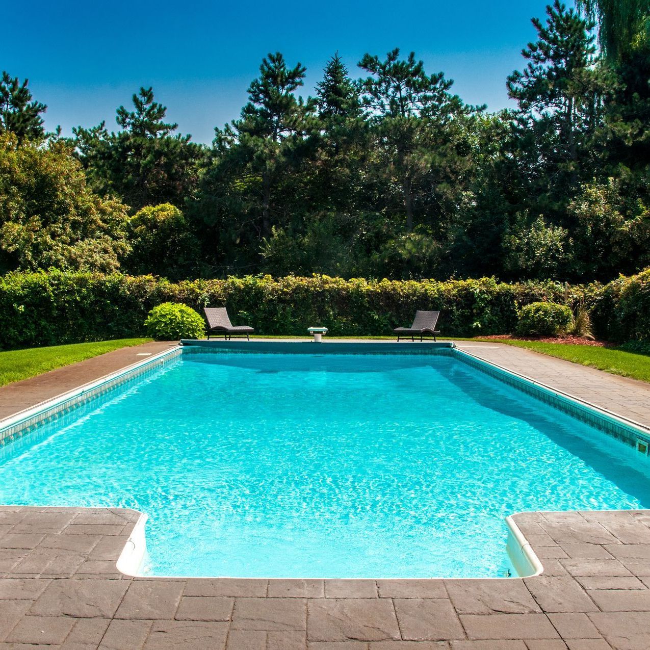 A rectangular swimming pool with clear blue water surrounded by greenery and a brick patio.