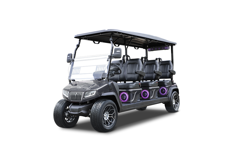 Evolution D5 RANGER 6 PLUS GRAY - ALLSTATES GOLF CARTS - ELKHART, IN