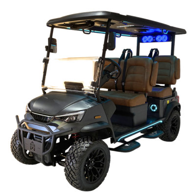 Gray DACH Apollo Elite Allstates Golf Carts Elkhart IN