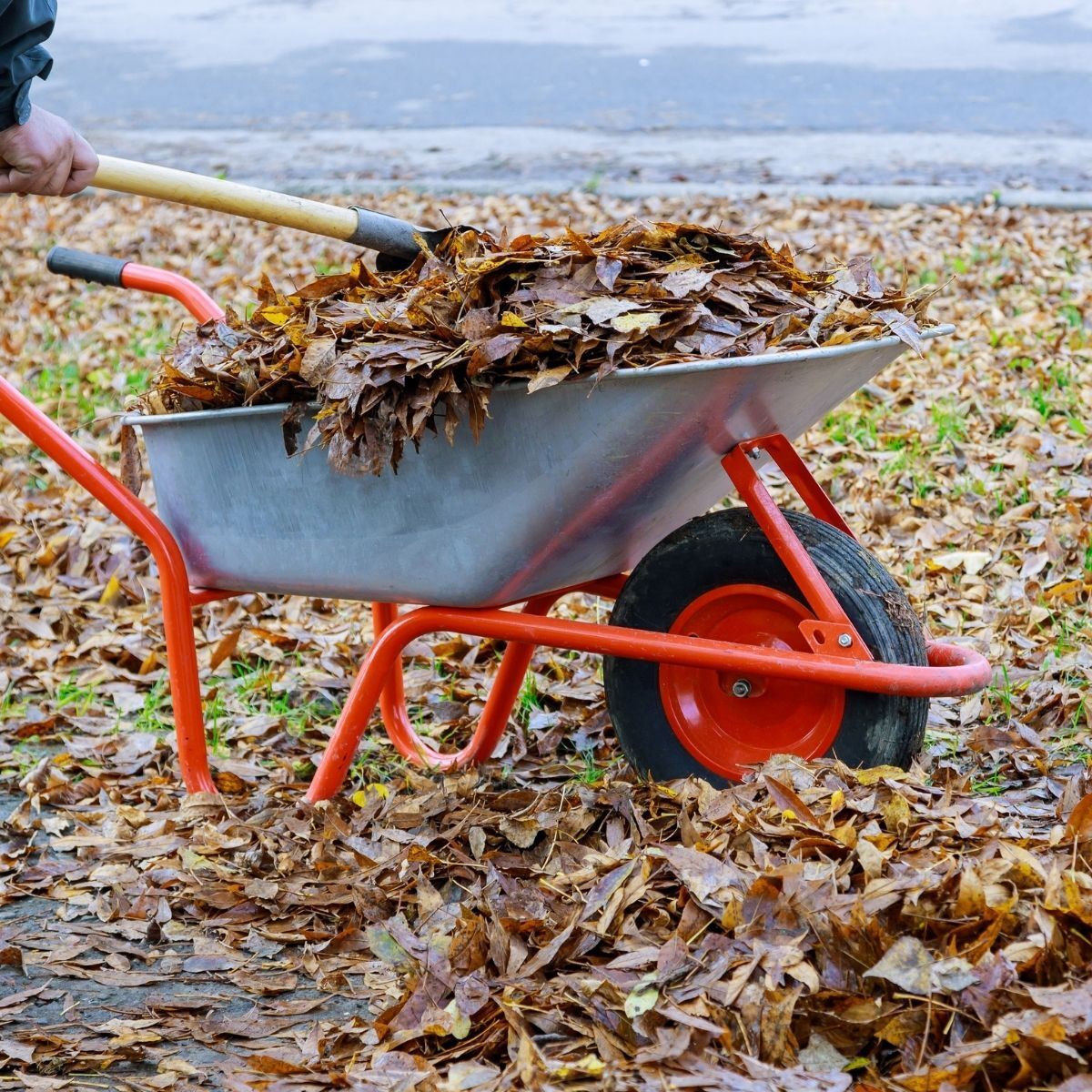 Rubbish Removal Redland Bay