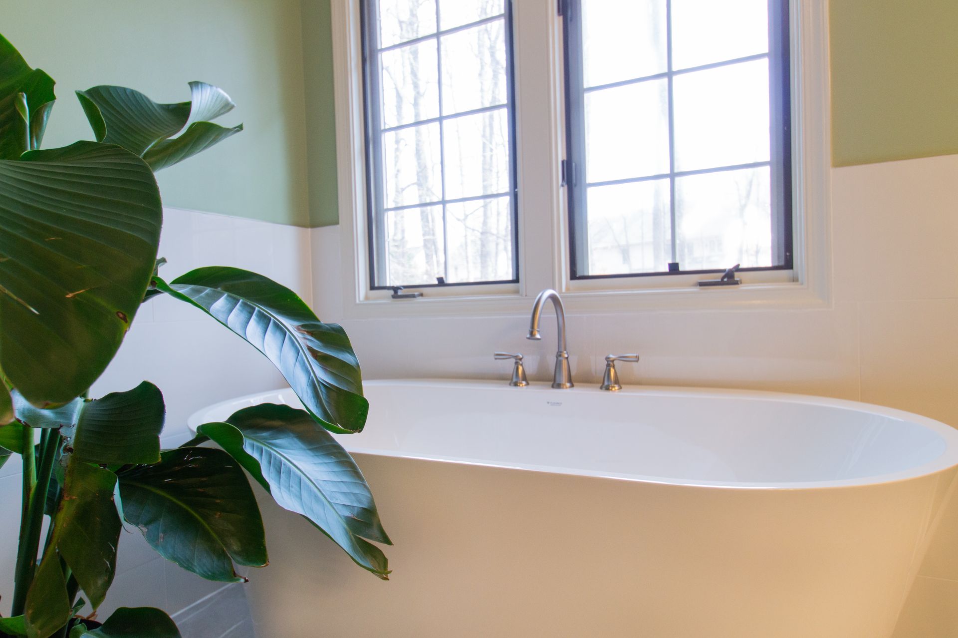 Freestanding white bathtub in a bathroom with a large window and a large green plant. The walls are white and pale green.