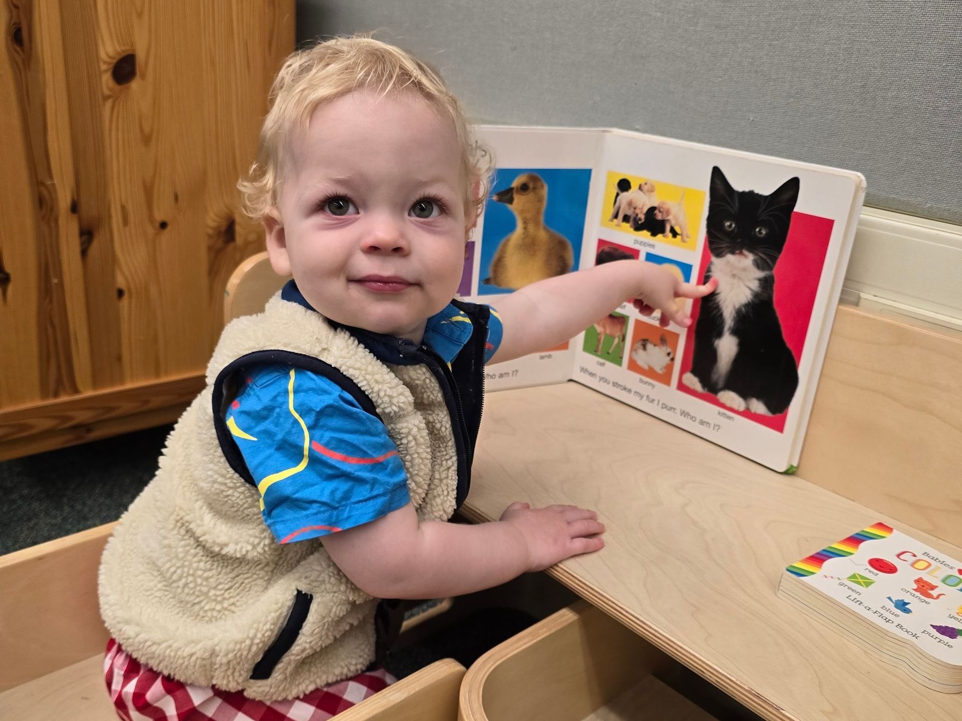 A Montessori child is pointing at a picture of a cat in a book.