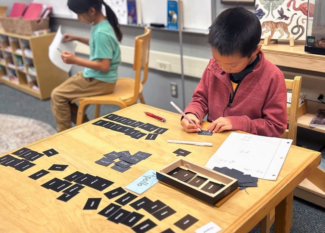 Montessori child working with spelling materials