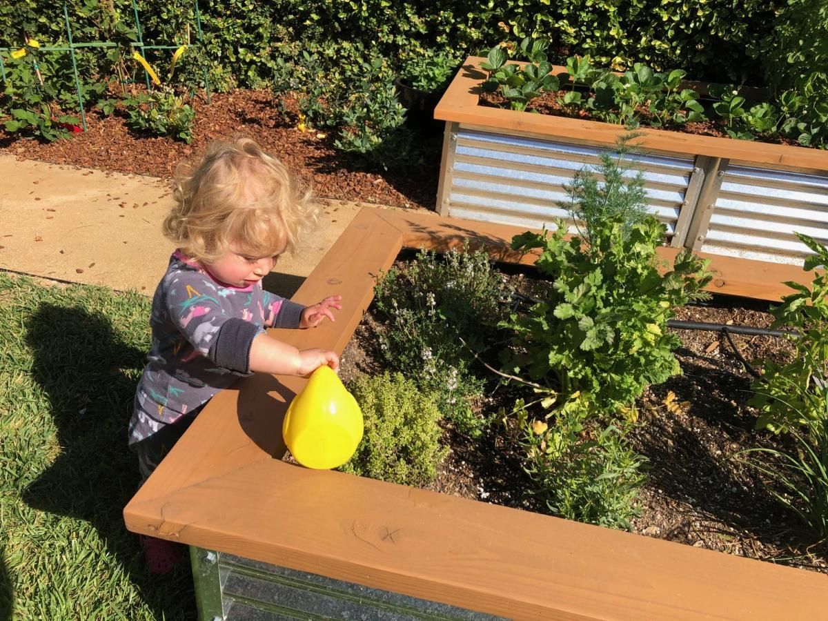 Montessori toddler watering plants in the garden.