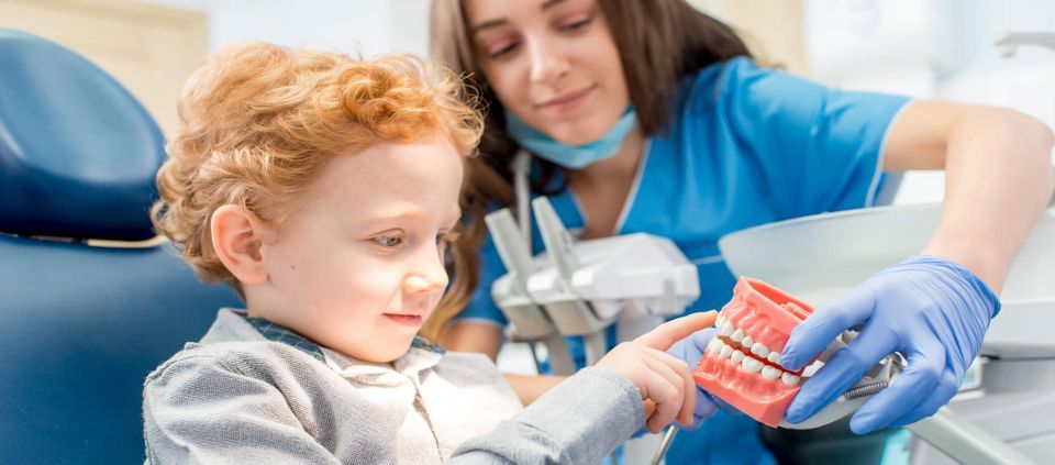 A little boy is sitting in a dental chair while a dentist shows him a model of teeth.