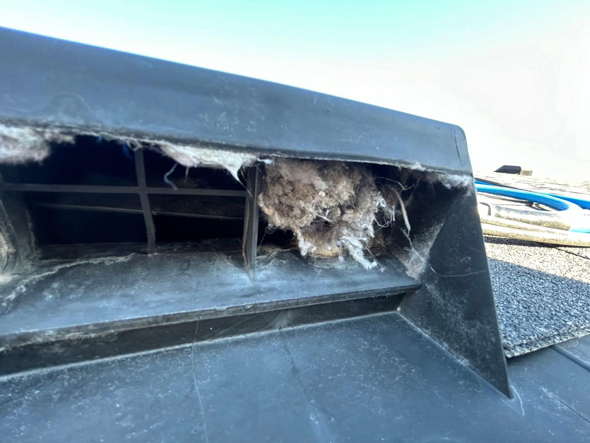 Damaged rooftop vent opening with debris and nesting material inside