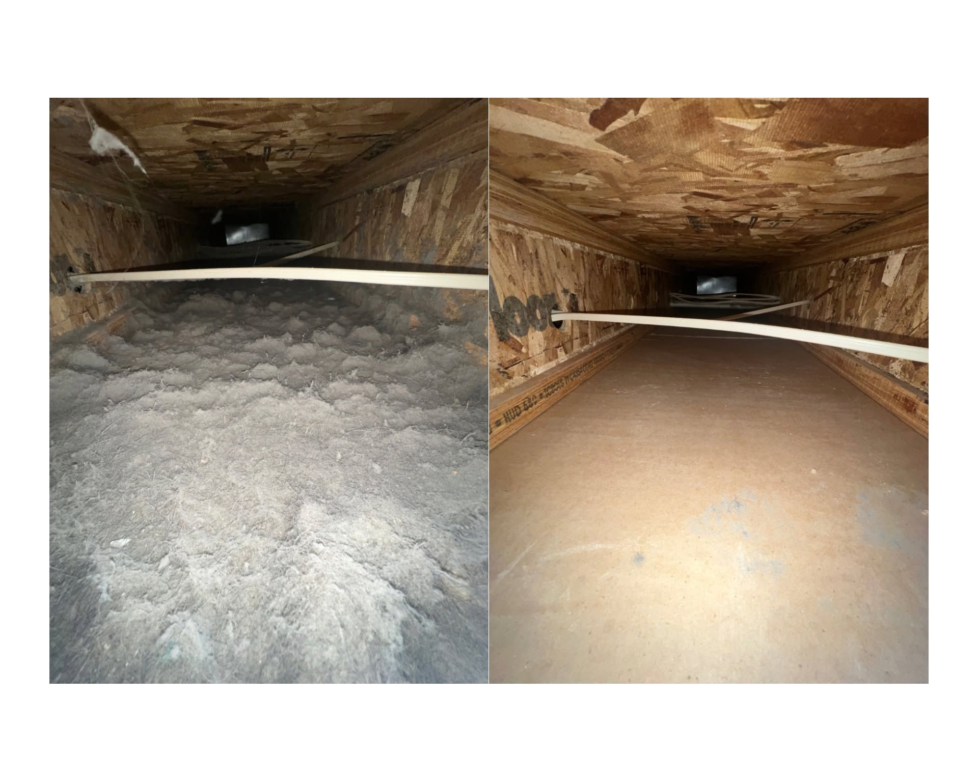 Split view of two dirt tunnel interiors, one rough and dark, the other smooth and lit
