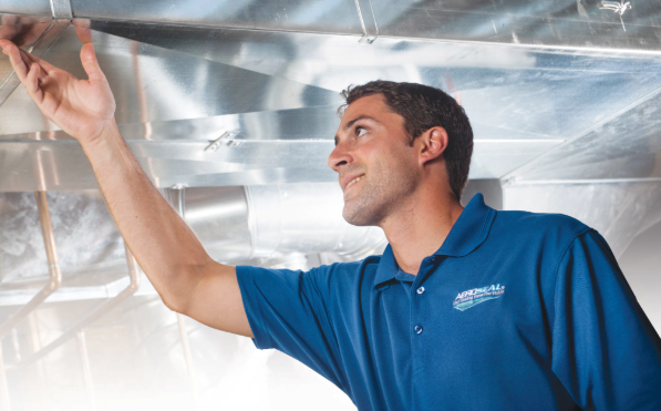 Man in blue polo installing insulation in an attic, reaching up toward the ceiling