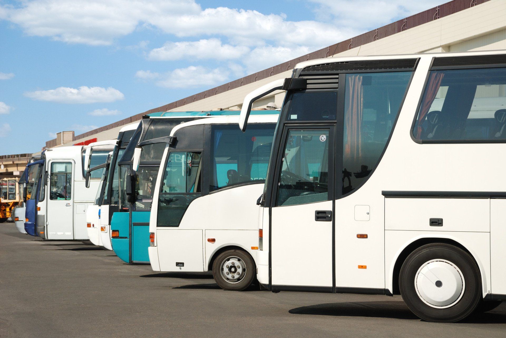 fleet of buses