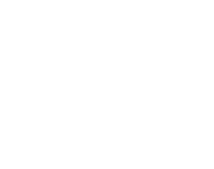 Amerigo new and used tires Logo