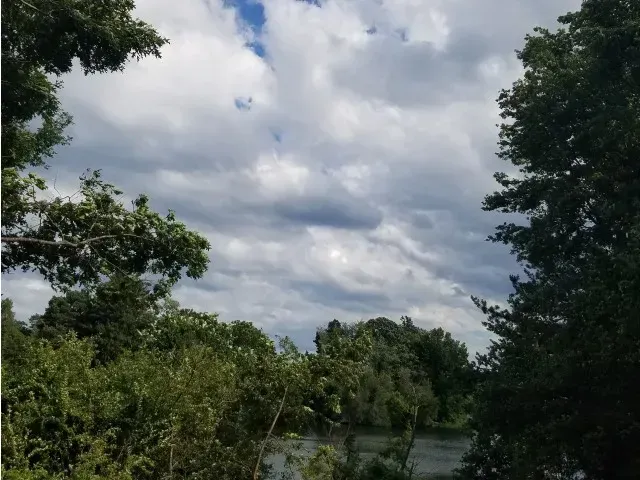 Nature view at McKay.