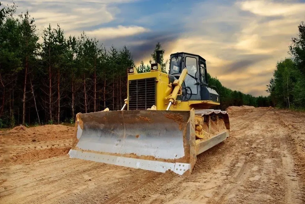 Bulldozer grading a dirt road beside a pine forest at sunset.