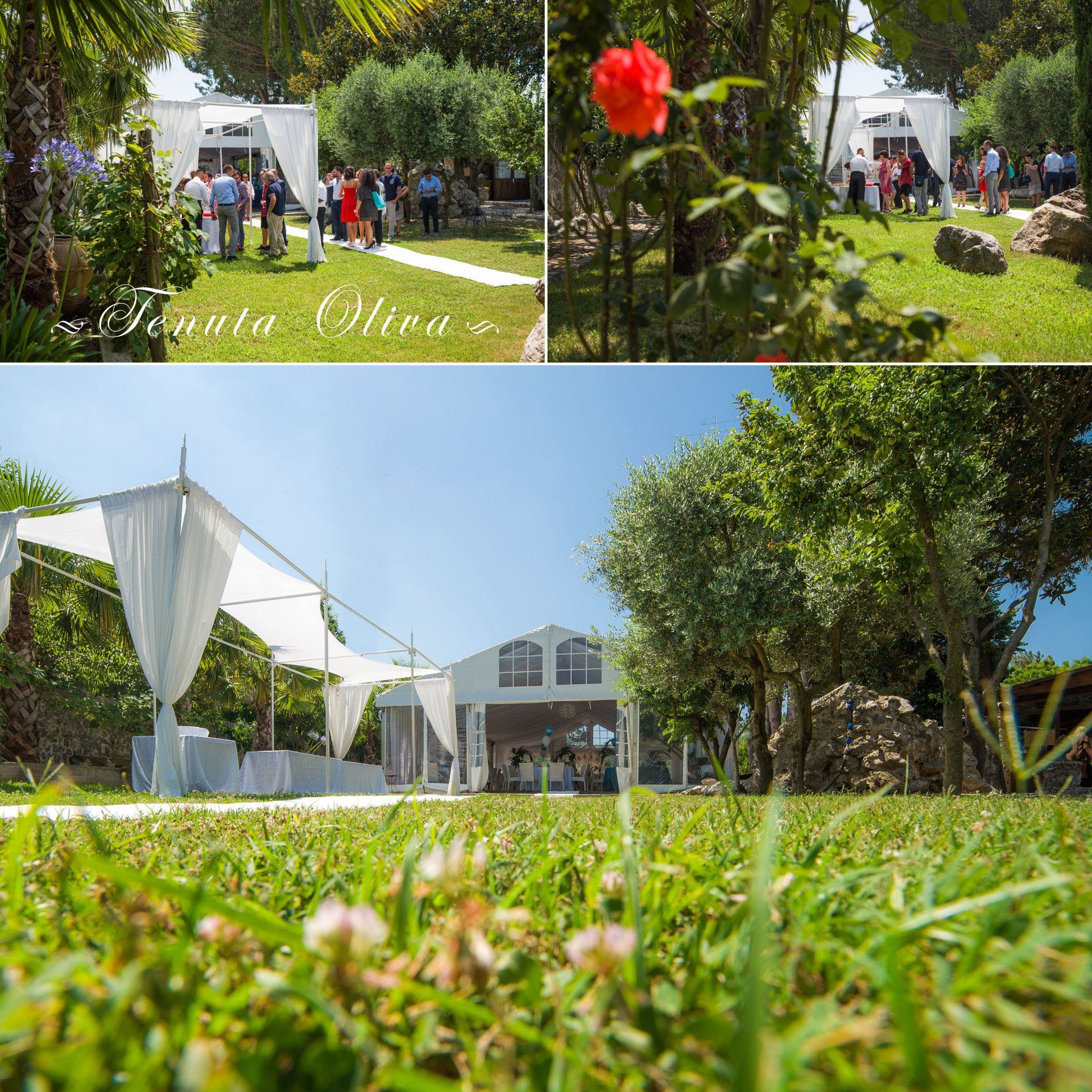 gruppo di persone in piedi in un campo erboso davanti a una tenda
