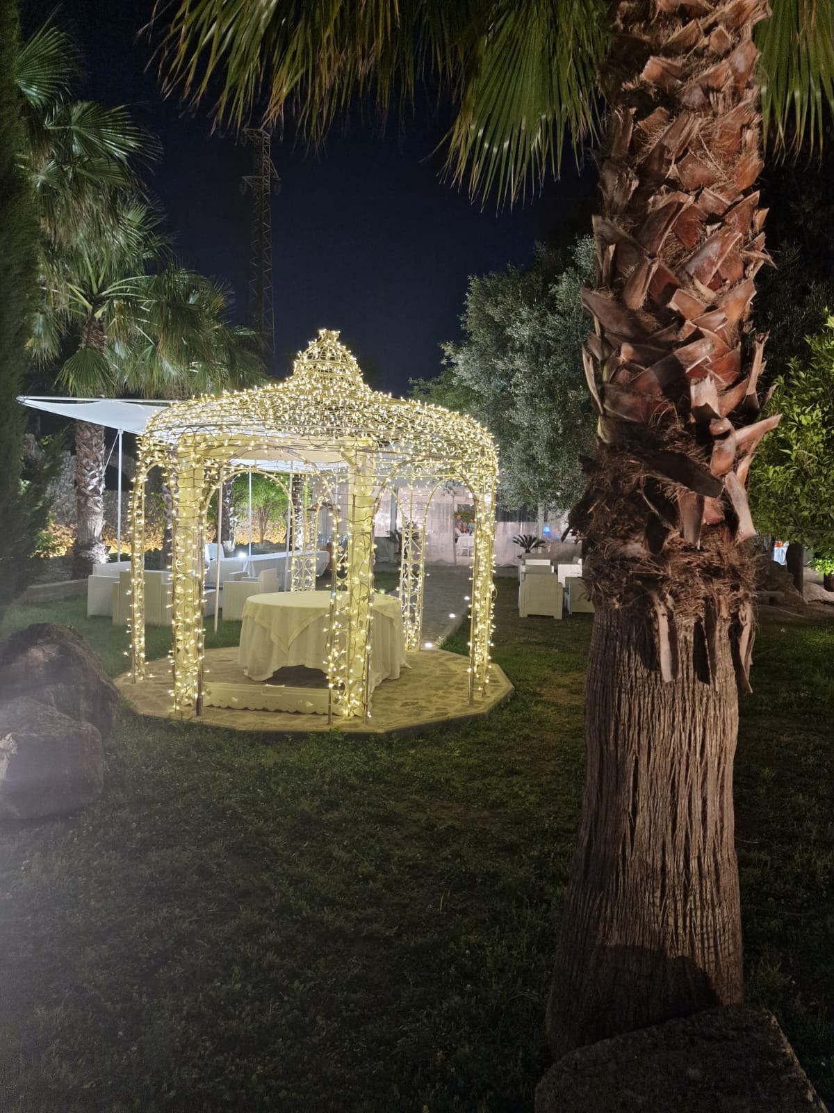 gazebo illuminato circondato da palme