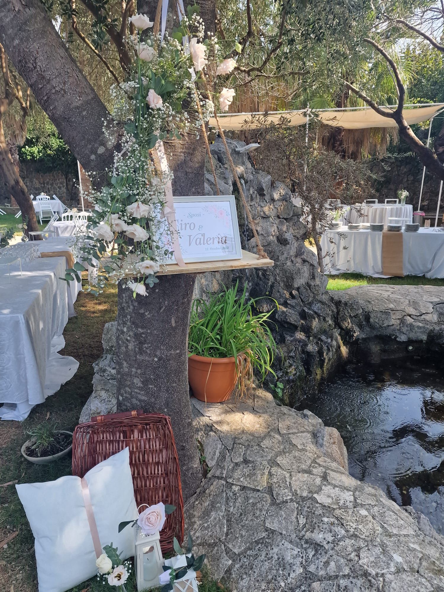 albero con dei fiori situato accanto a un fiume