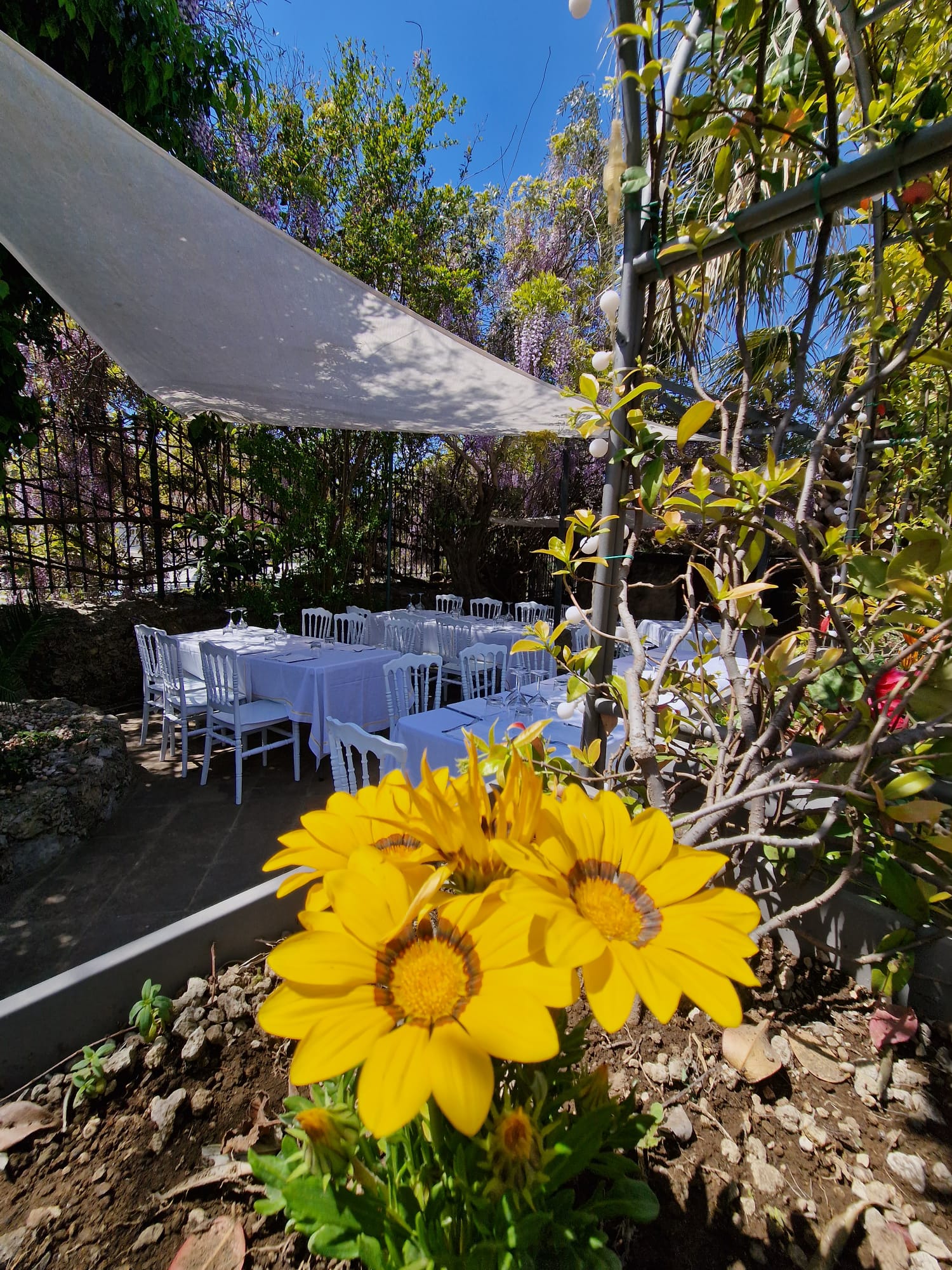 giardino con tavoli e sedie sullo sfondo