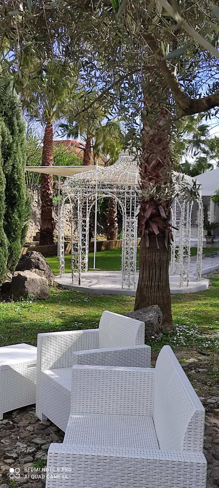 fila di sedie bianche sistemate sotto un albero in un parco