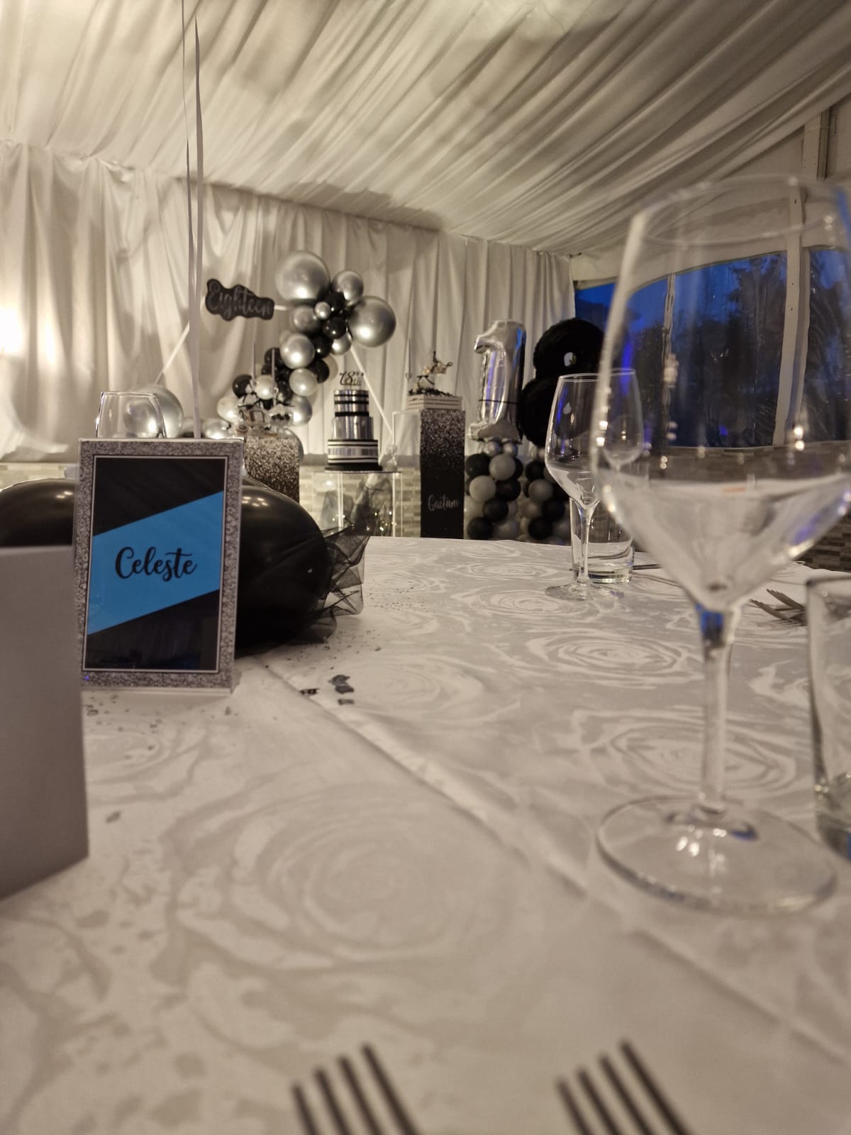 festa di compleanno per un diciottesimo presso Tenuta Olivia 59