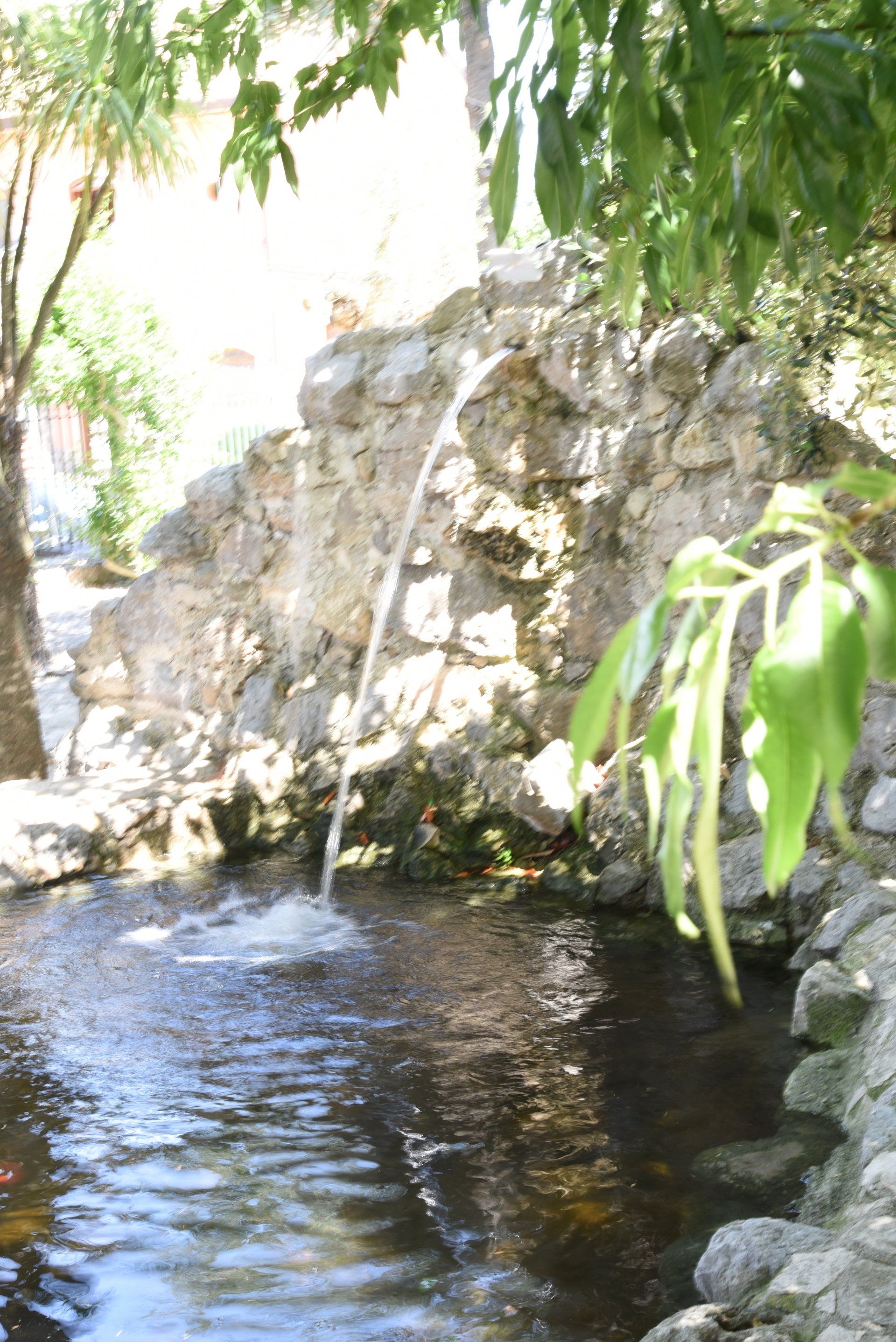 esterni B&B Tenuta Olivia 5