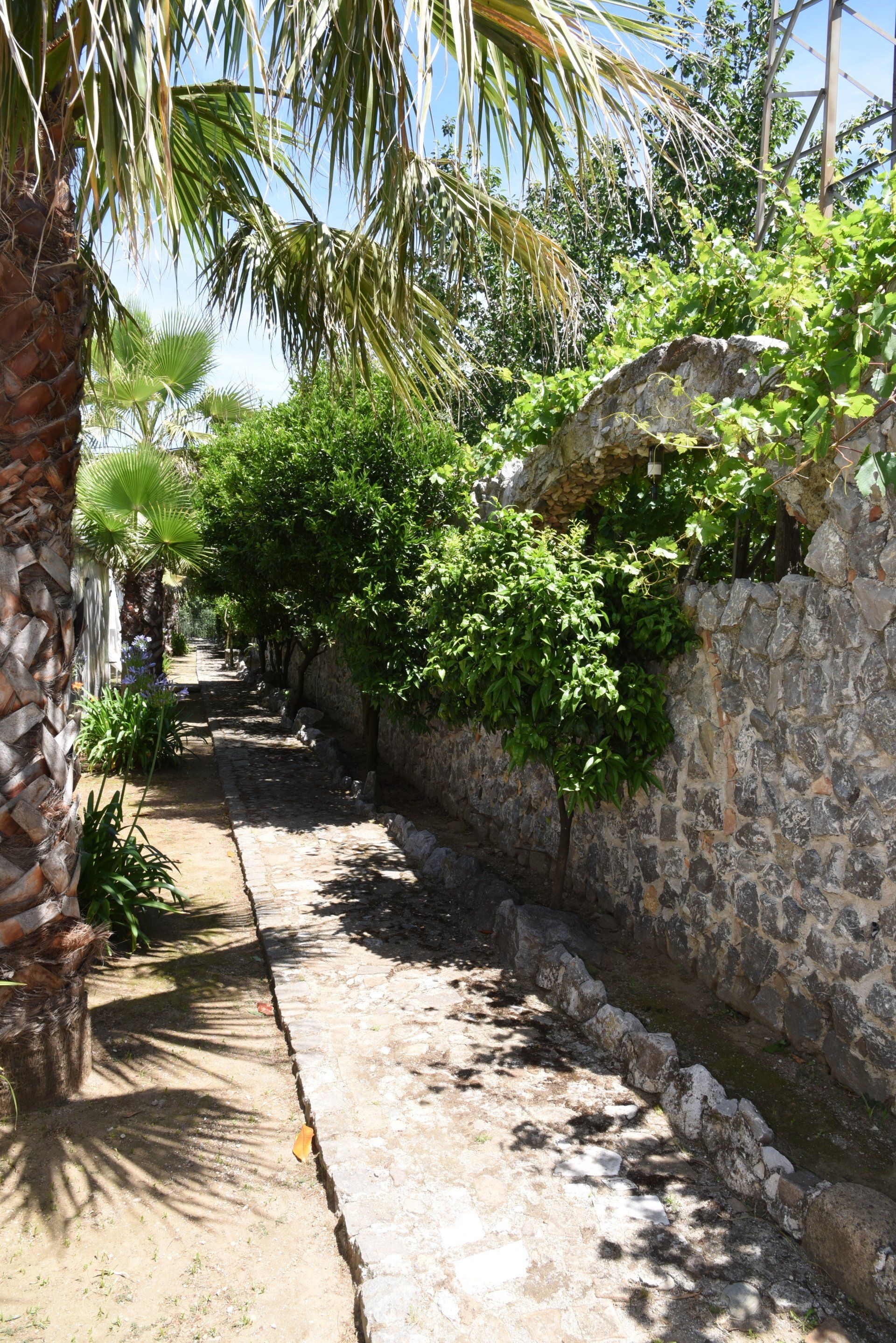 esterni B&B Tenuta Olivia 8