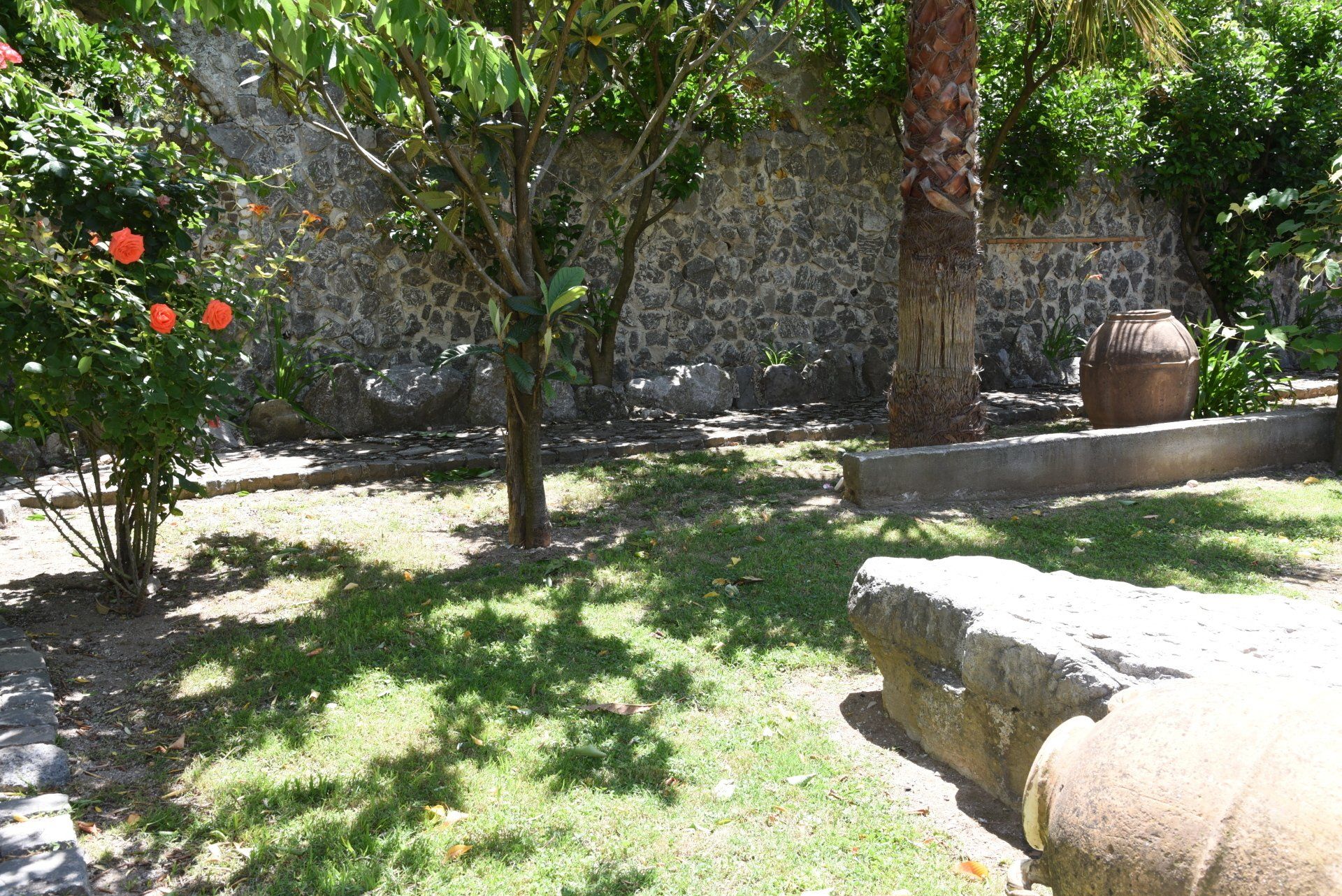 esterni B&B Tenuta Olivia 7