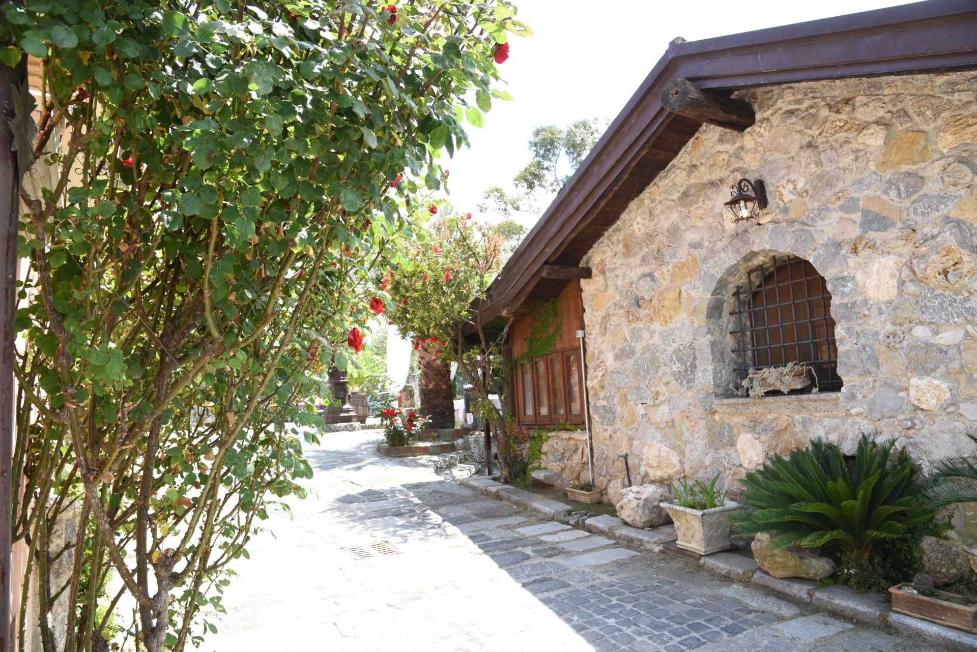 esterno ristorante Tenuta Olivia