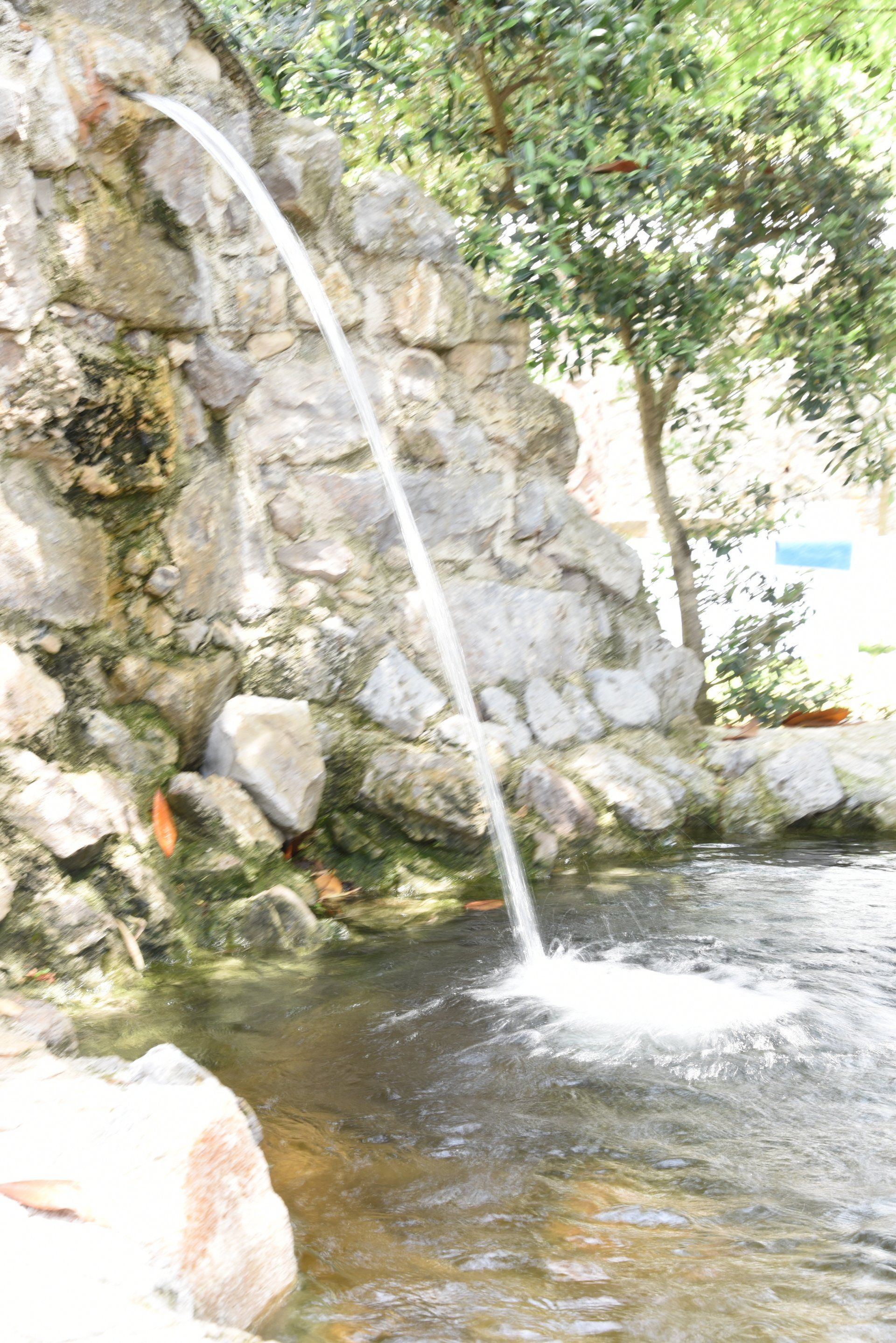 cascata scende da una parete rocciosa in uno stagno