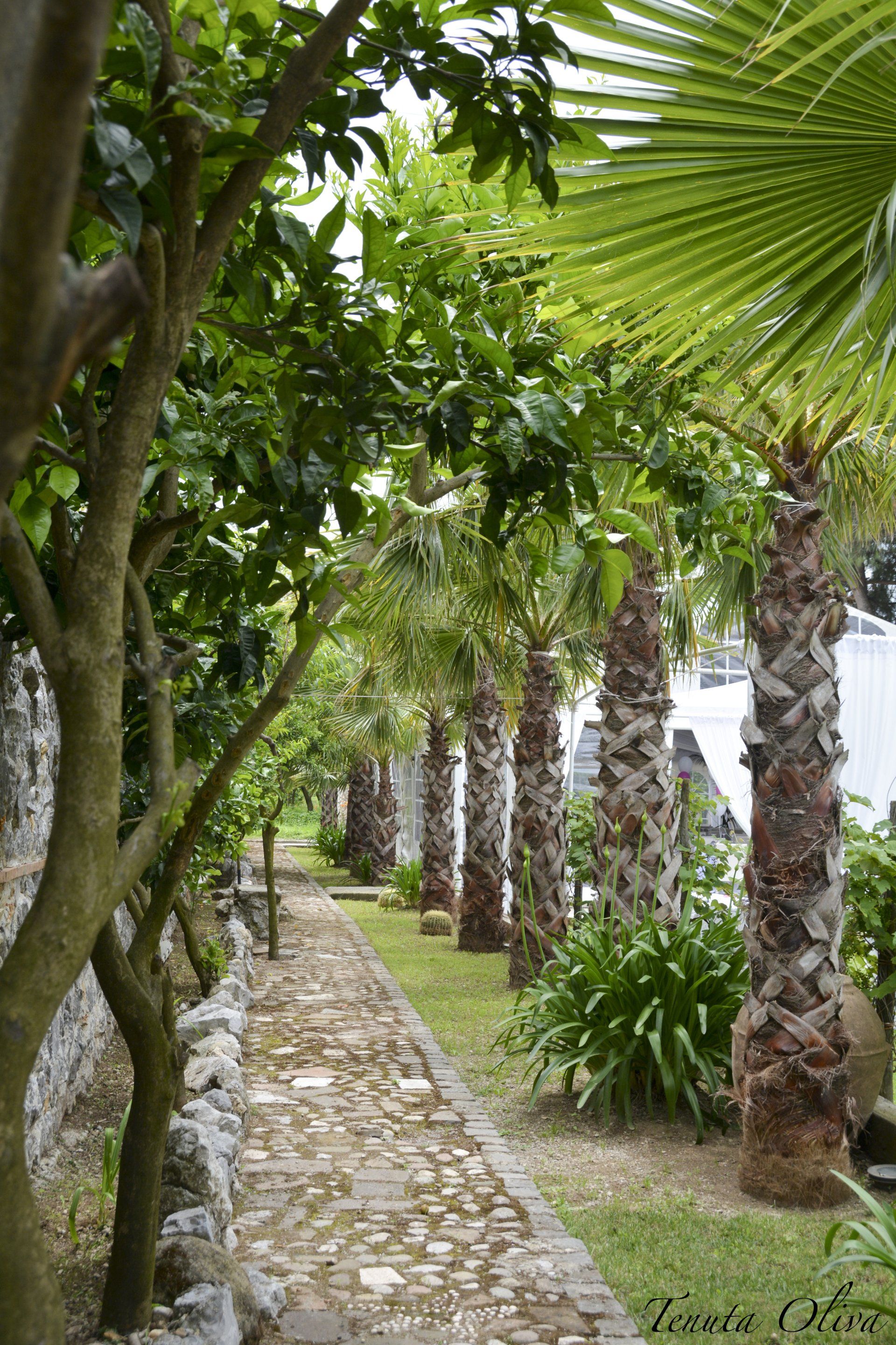 esterni B&B Tenuta Olivia