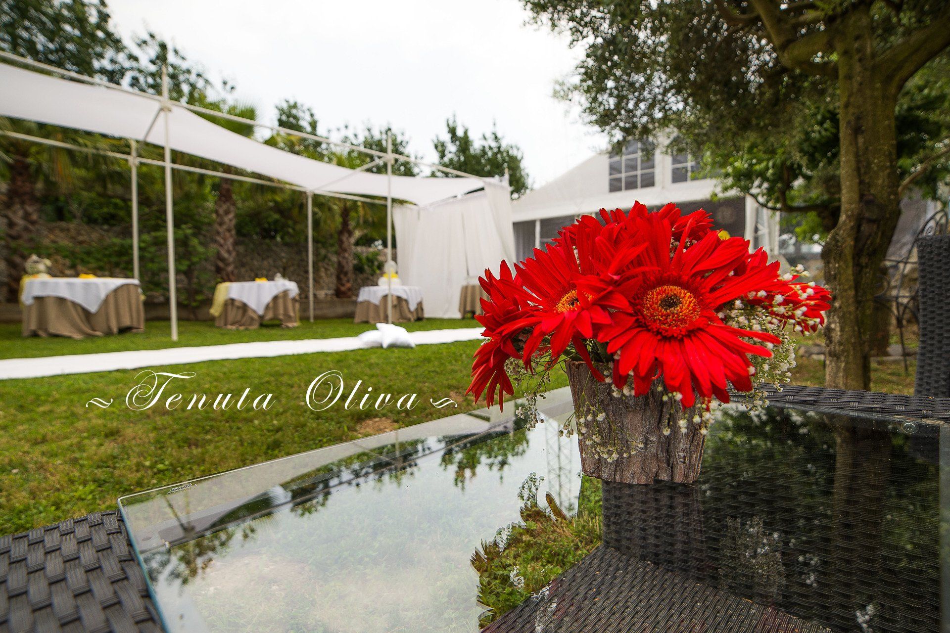 dettaglio del giardino esterno della Tenuta Olivia