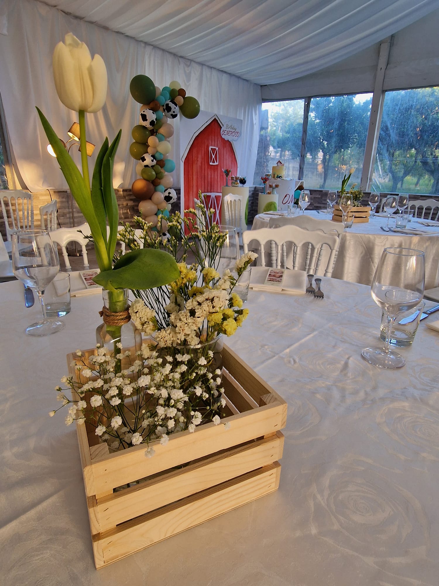 festa di compleanno presso Tenuta Olivia 48