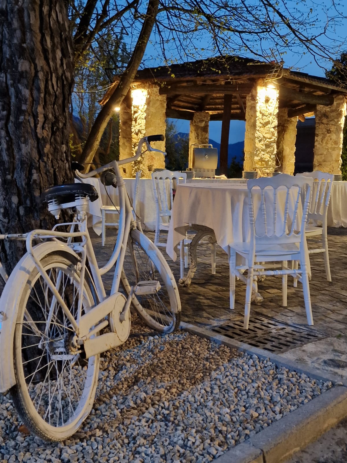 bicicletta bianca parcheggiata sotto un albero di fronte a un ristorante