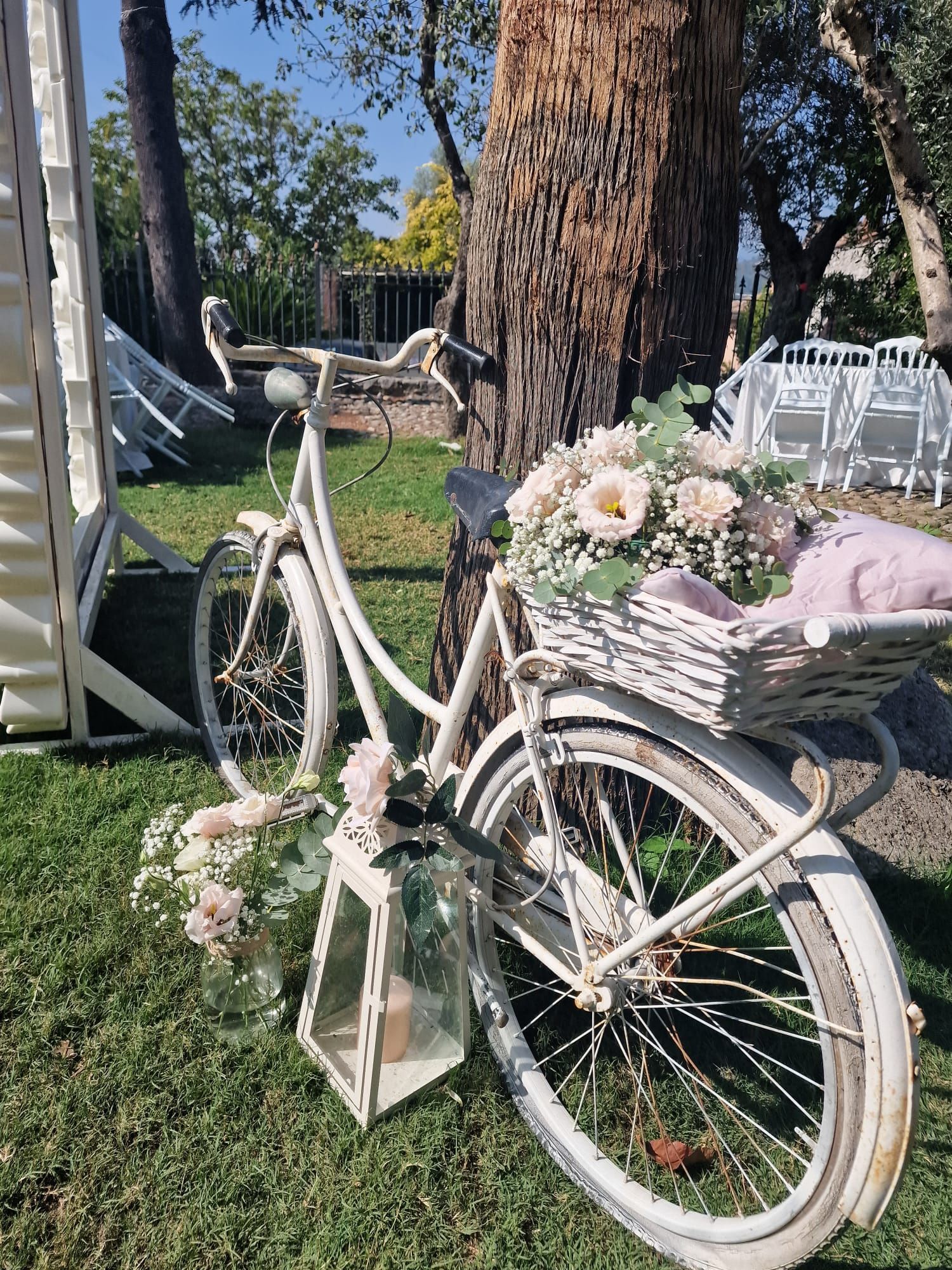 bicicletta bianca con un cesto di fiori