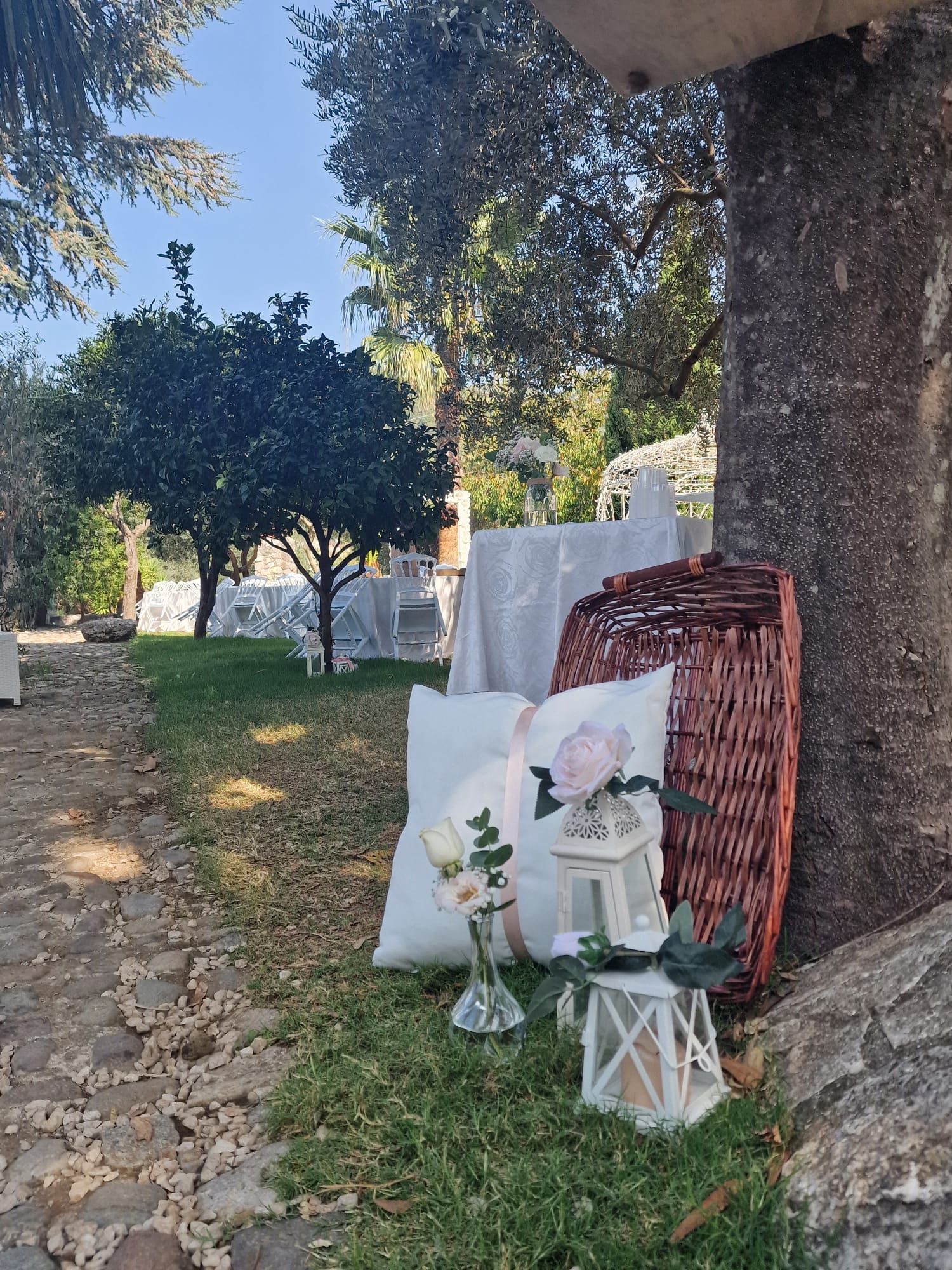 cesto di vimini è appoggiato sotto un albero