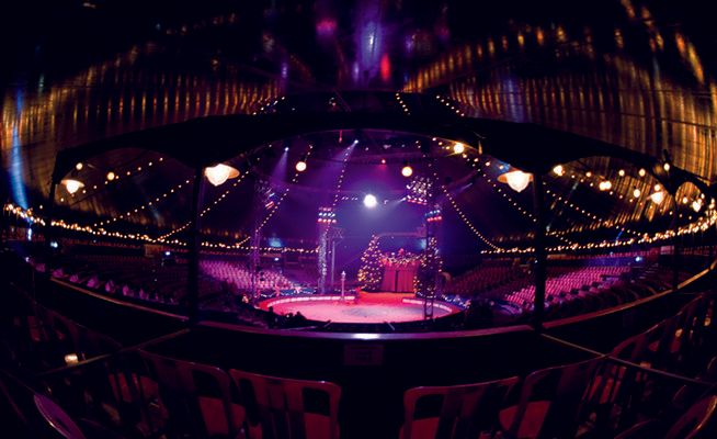 circus kerstcircus 1