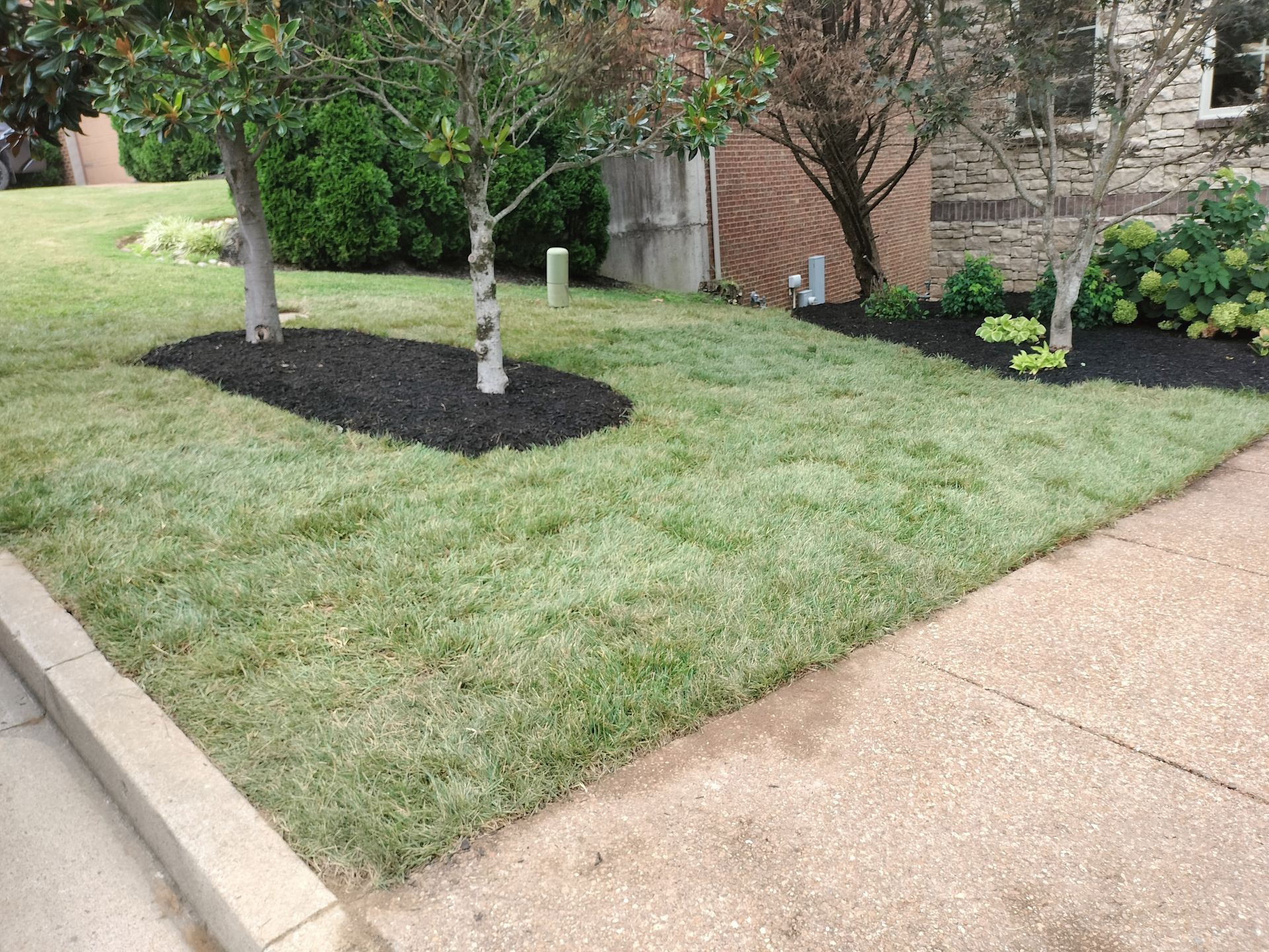 best landscaper in nashville