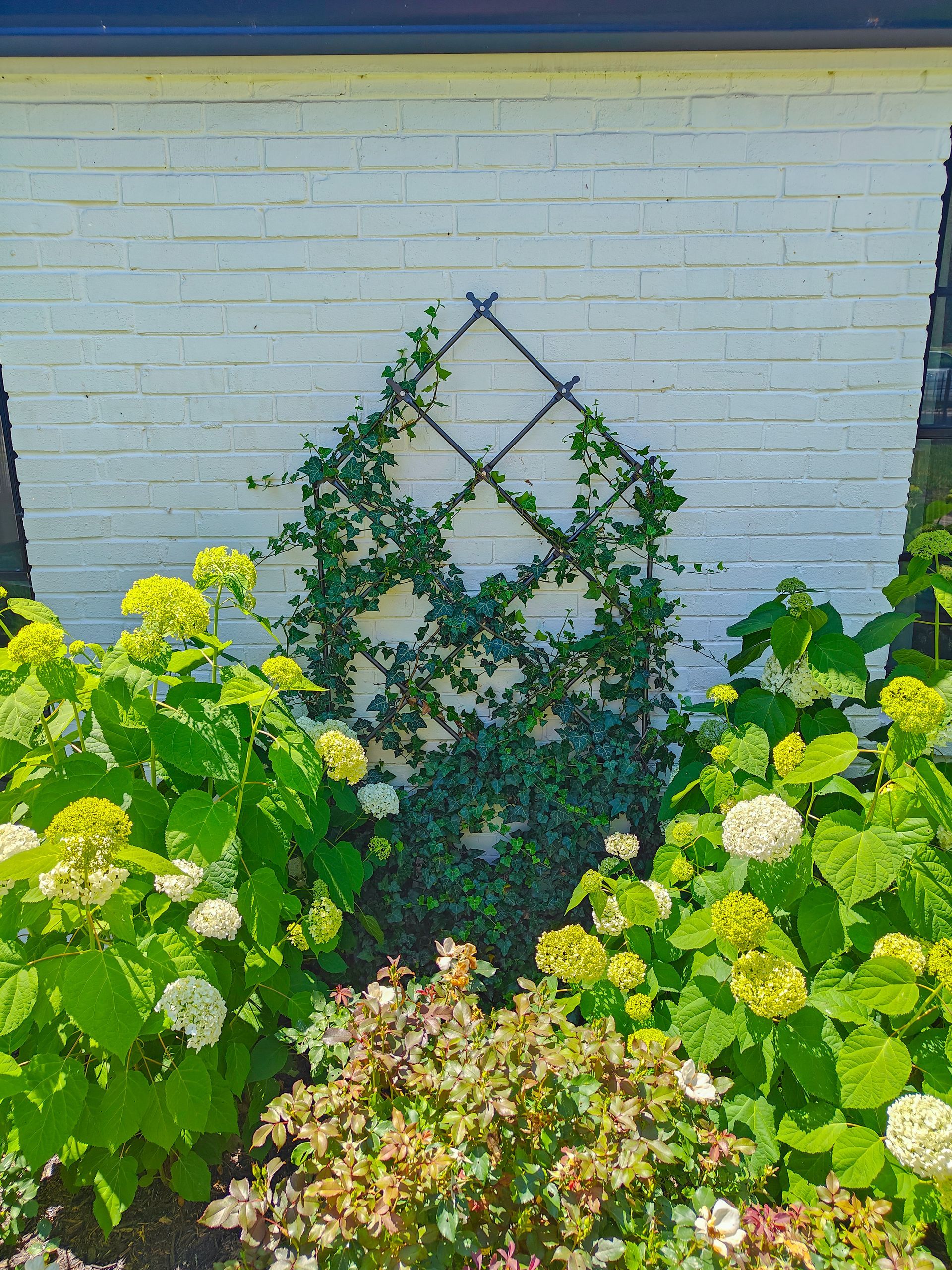 landscape design near me