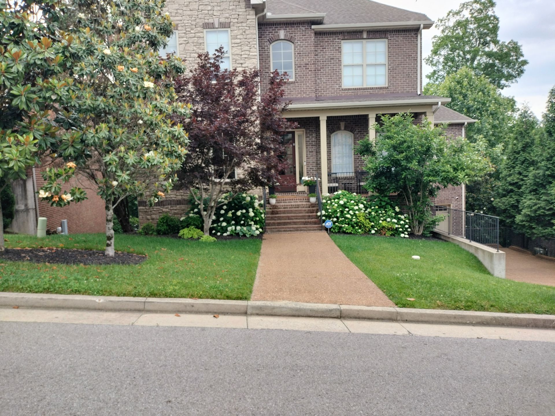 residential yard landscape design