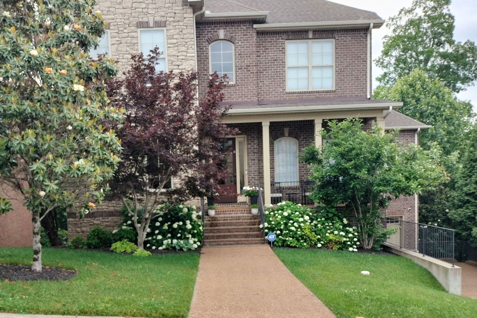 bushes in front of house