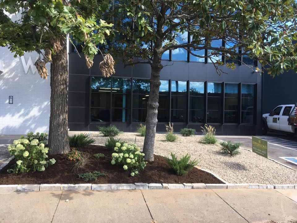 Landscaped area with trees and shrubs in front of a modern building with large windows.