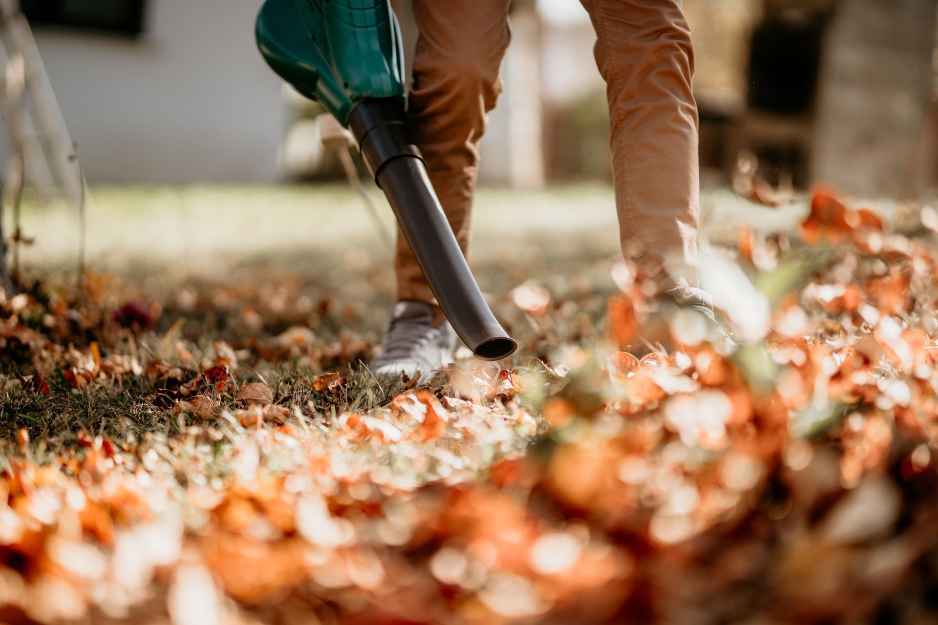 Person using a leaf blower on a bed of fall leaves in a yard.