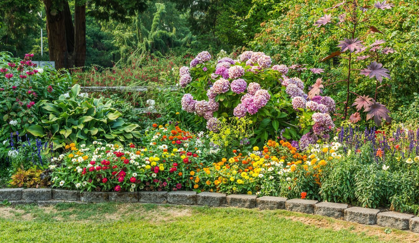 lawn edging