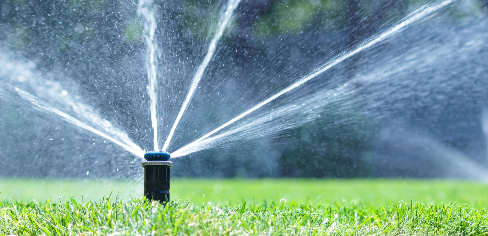 why invest in an irrigation system in Franklin, TN