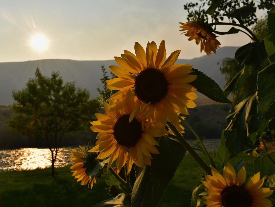 North Fork Guides Gallery Image